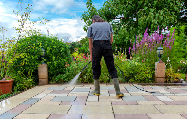 Best Brick and Stone Cleaning in Webster Groves, MO