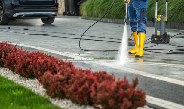 Best Fence Cleaning and Maintenance in Webster Groves, MO